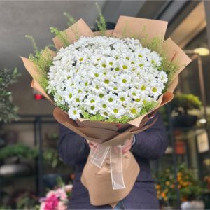  İstanbul Çiçek Gönder - Papatya & Gerbera