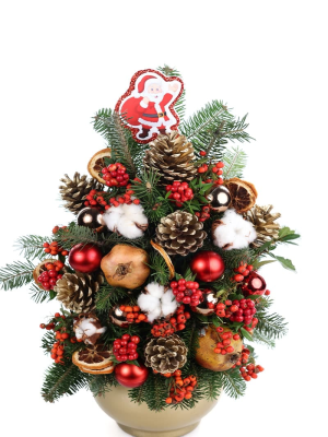  İstanbul Çiçekçiler - Kış Bahçesi