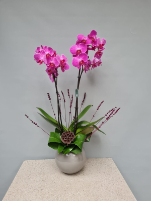  İstanbul Çiçekler - Neşe  Rengi 